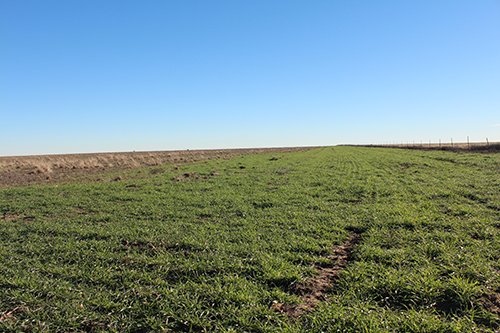 TRACT 4 - REAL ESTATE & MINERAL AUCTION - 640+/- ACRES & PRODUCING MINERALS OFFERED IN 8 TRACTS IN MORTON COUNTY, KANSAS
